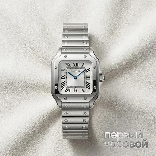 Santos De Cartier Small Model Silver Dial