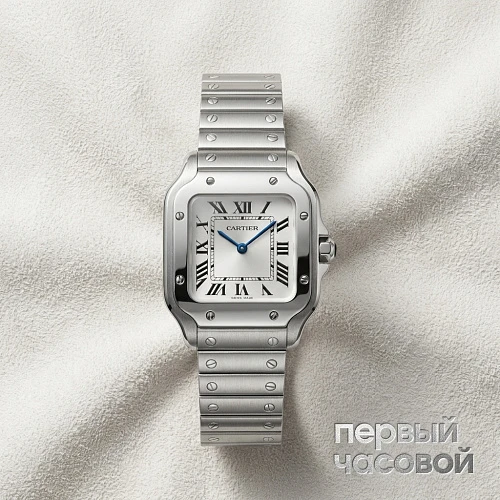 Santos De Cartier Small Model Silver Dial