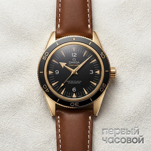 Seamaster 300  Master Co-Axial 41 mm