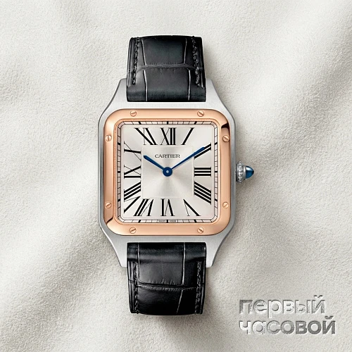 Santos de Cartier Santos-Dumont Steel Gold