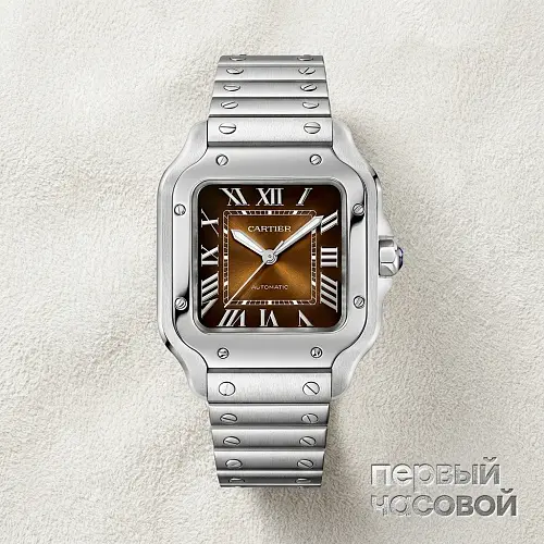 Santos De Cartier Brown Dial