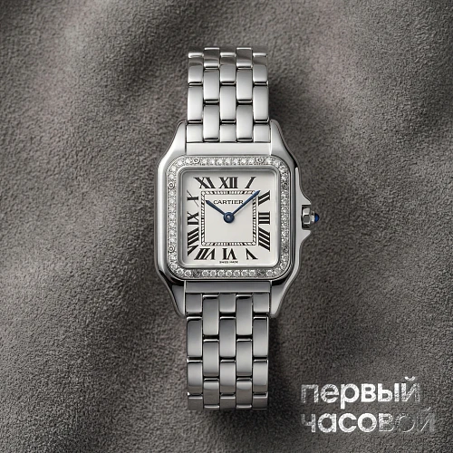 Panthere Medium Steel And Diamonds