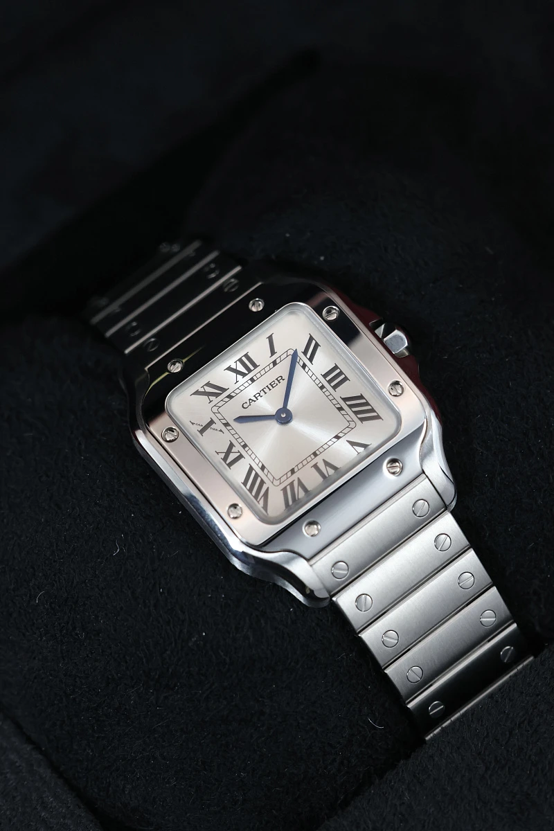 Cartier Santos De Cartier Small Model Silver Dial WSSA0082 — фото 3