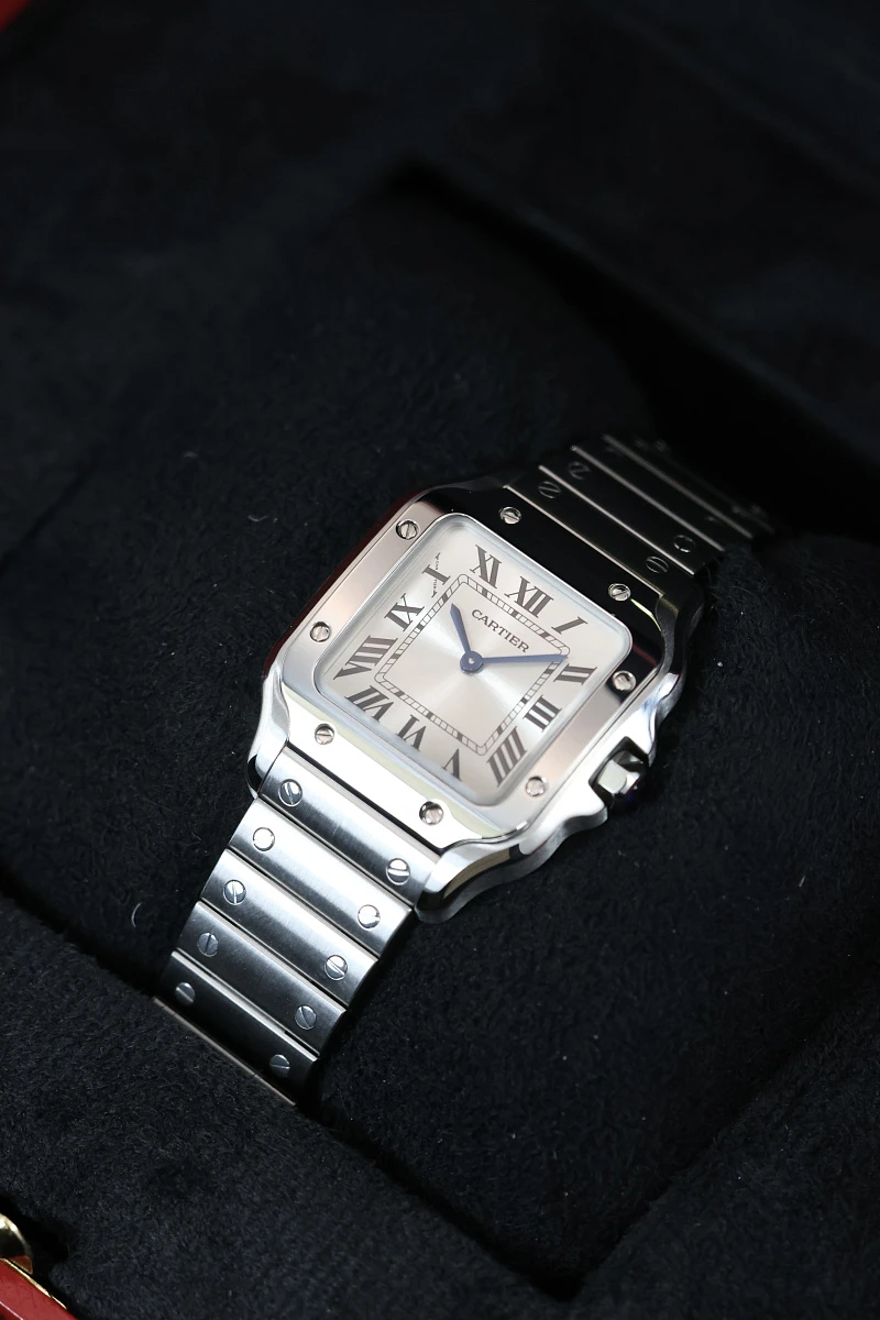 Cartier Santos De Cartier Small Model Silver Dial WSSA0082 — фото 2