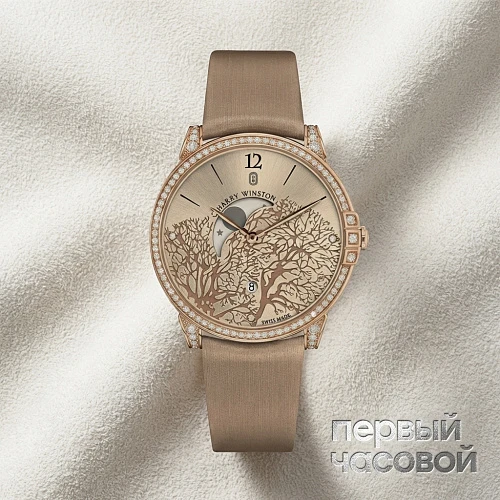 Midnight Moon Phase