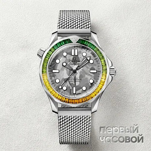 Seamaster Diver 300 m 42 mm