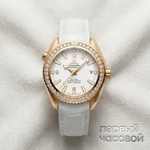 Seamaster Planet Ocean 600 m  Co-Axial 42 mm
