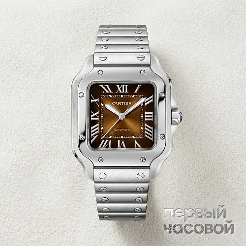 Santos De Cartier Brown Dial Medium 
