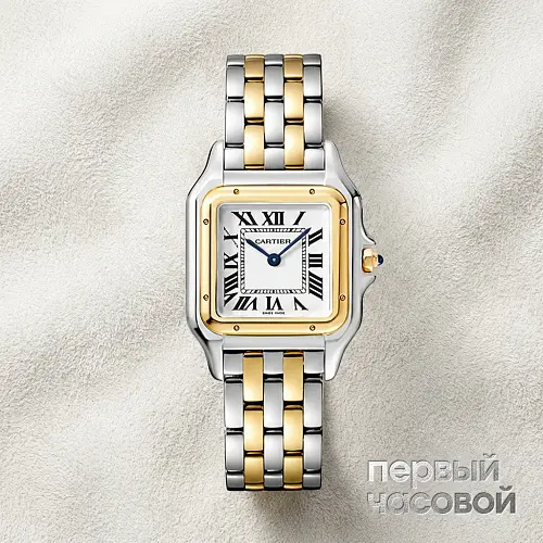 Panthere de Cartier Medium