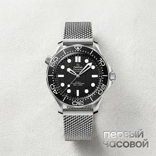 Seamaster Diver 300 M Co-Axial Chronometer 42 Mm Black