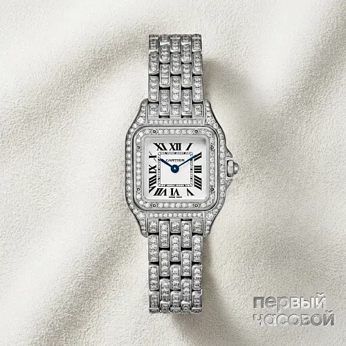 Panthère De Cartier Medium Steel Custom Diamonds
