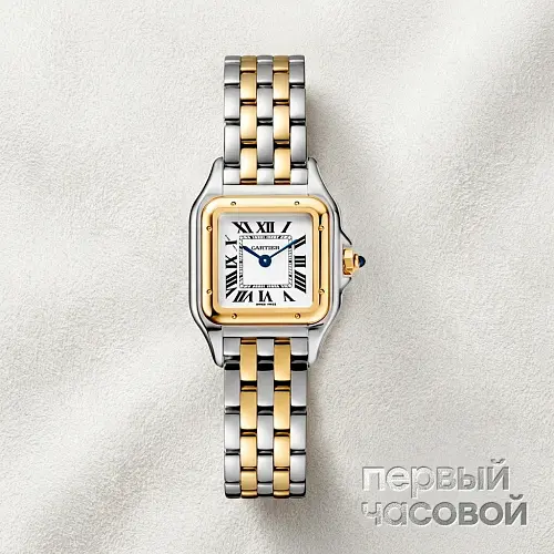 Panthere De Cartier Small Steel And Yellow Gold