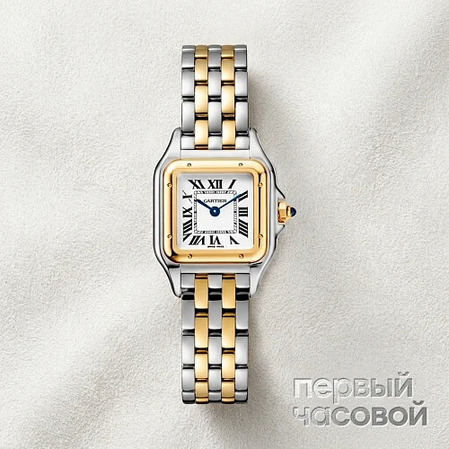 Panthere De Cartier Small Steel And Yellow Gold