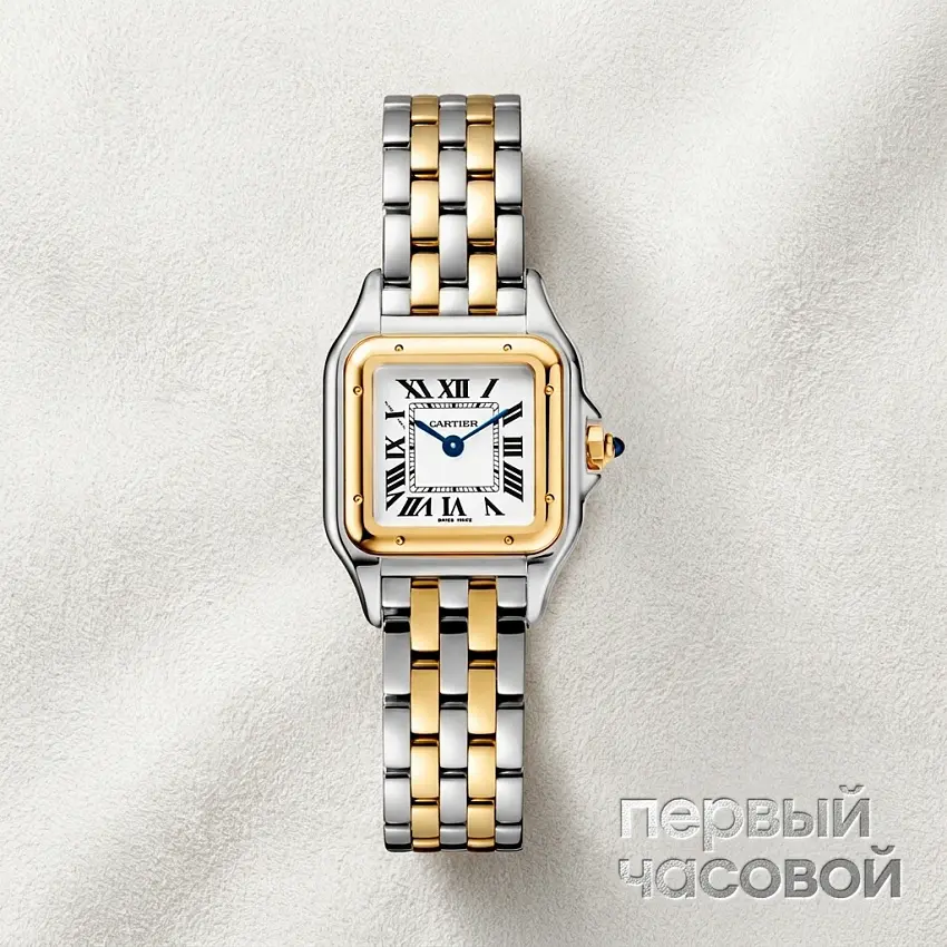 Panthere De Cartier Small Steel And Yellow Gold