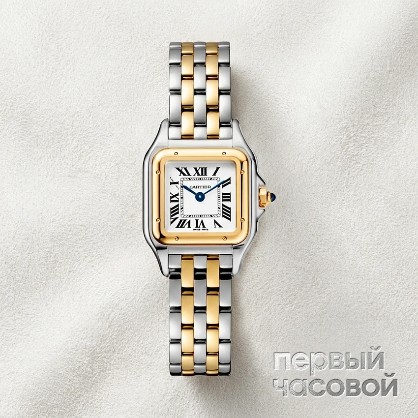 Panthere De Cartier Small Steel And Yellow Gold