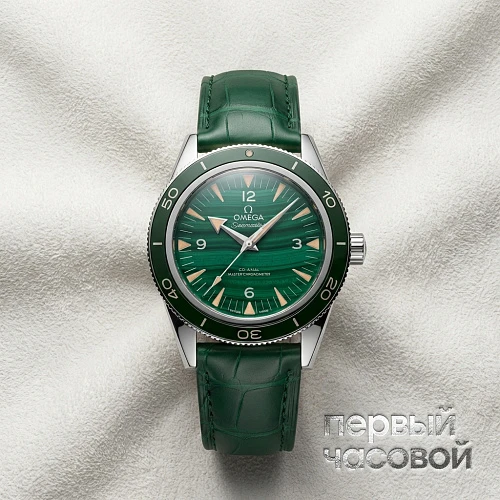 Seamaster 300 Co-Axial Chronometer 41 Mm