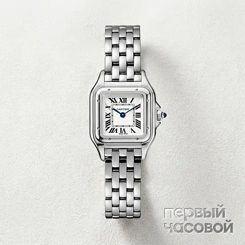 Panthere De Cartier Steel Small