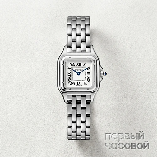 Panthere De Cartier Steel Small