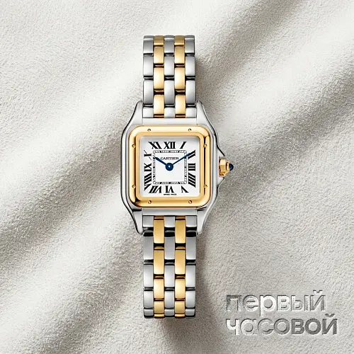 Panthere De Cartier Small Steel And Yellow Gold