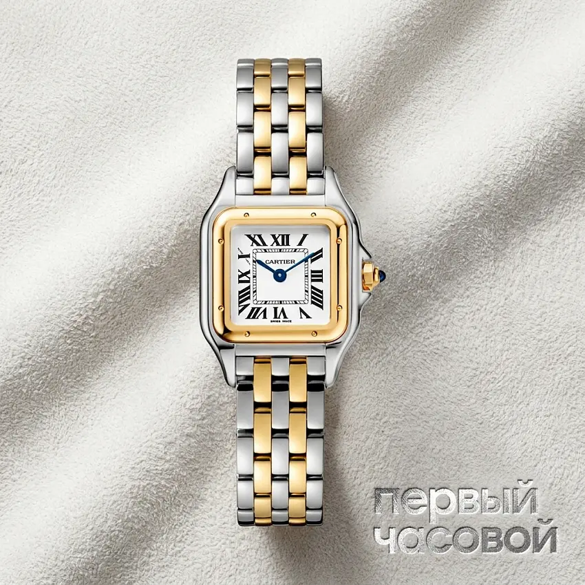 Panthere De Cartier Small Steel And Yellow Gold