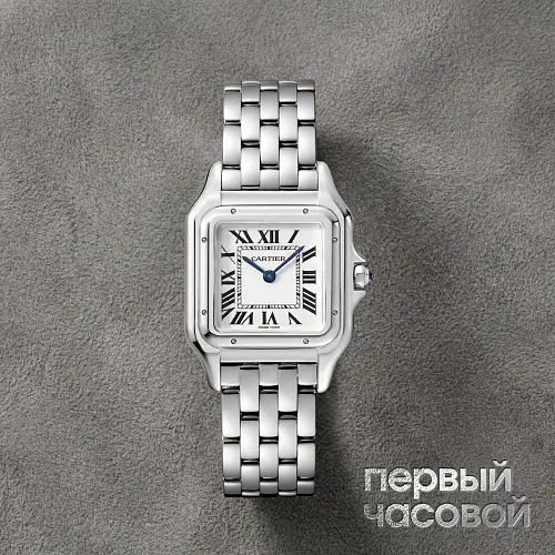 Medium Panthere De Cartier Steel