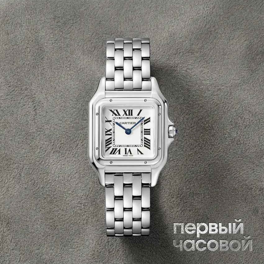 Medium Panthere De Cartier Steel