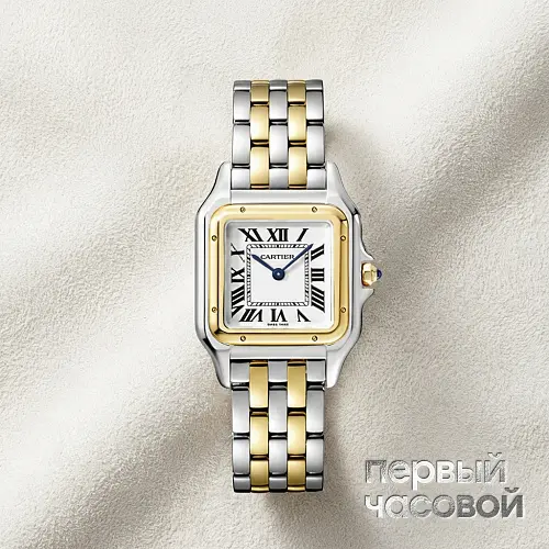 Panthere de Cartier Medium Steel and Yellow Gold