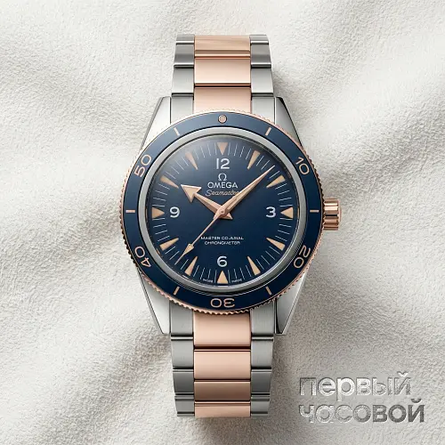 Seamaster Seamaster 300 m  Master Co-Axial 41 mm