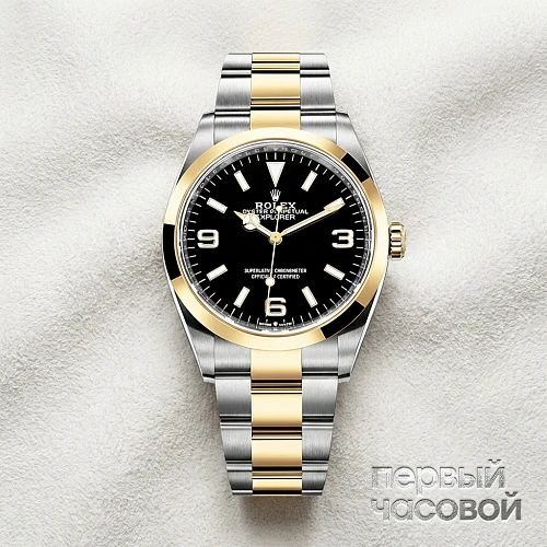 Explorer 36 mm Steel and Yellow Gold