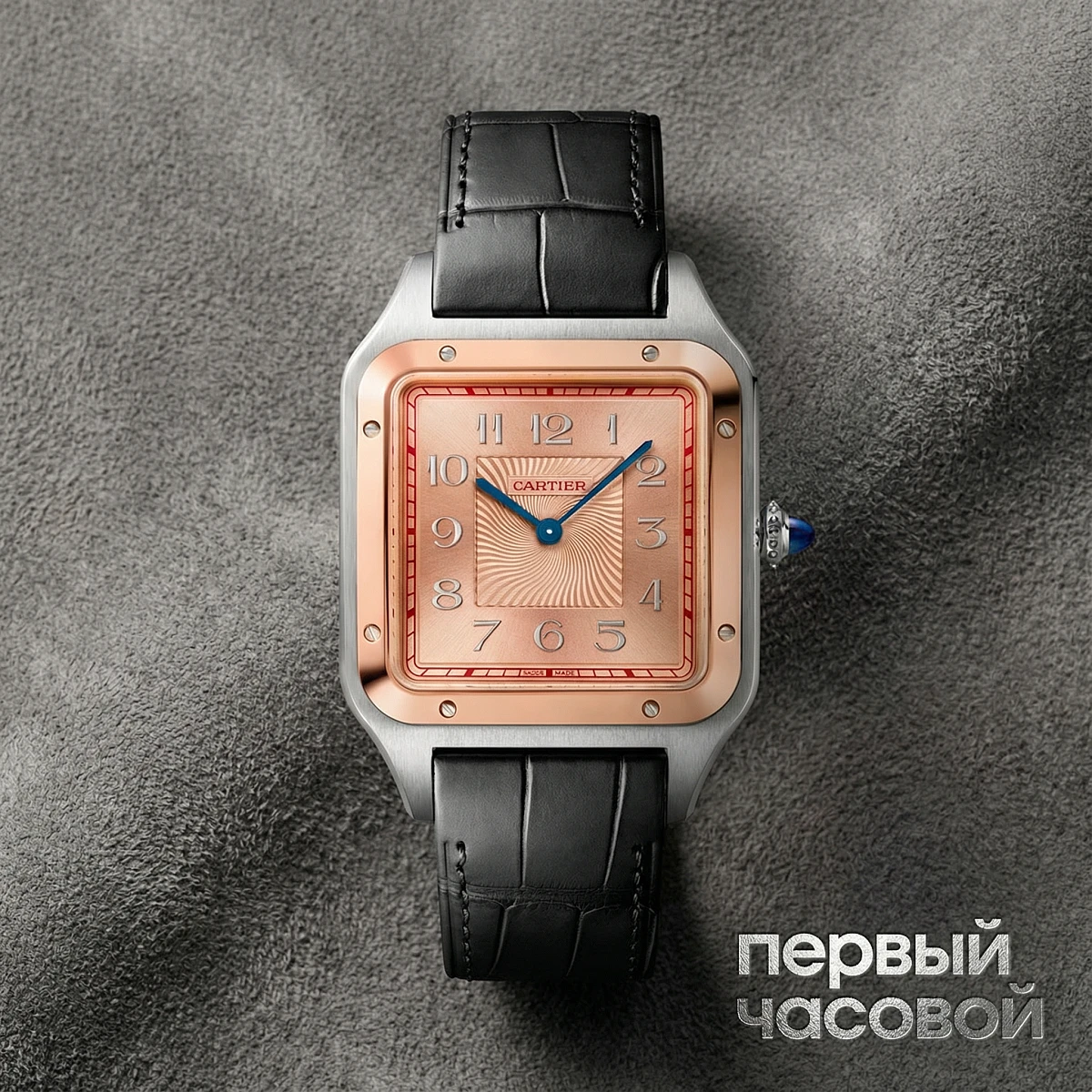 Купить элитные часы Cartier Santos Dumont Xl Certie Edition W2SA0025: в наличии в Москве!