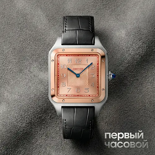 Santos Dumont Xl Certie Edition