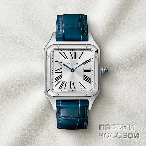 Santos de Cartier Santos-Dumont Steel 