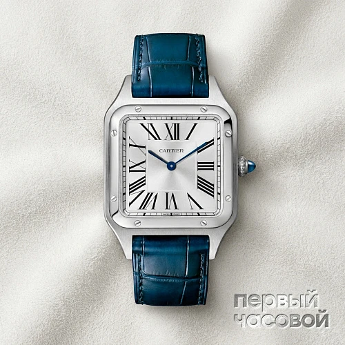 Santos de Cartier Santos-Dumont Steel 