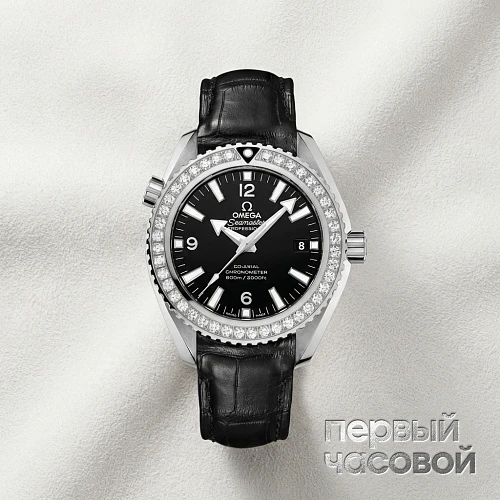 Seamaster Planet Ocean 600 m  Co-Axial 42 mm