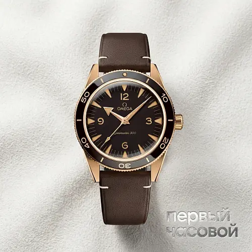 Seamaster 300 Co-Axial Master Chronometer 41 mm