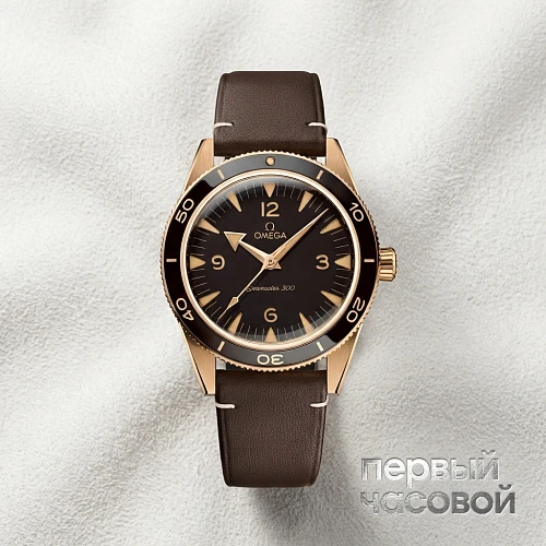 Seamaster 300 Co-Axial Master Chronometer 41 Mm