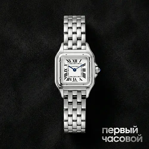 Panthere De Cartier Steel Small
