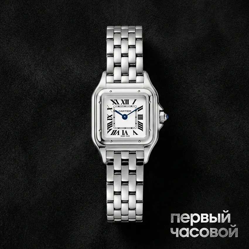 Panthere De Cartier Steel Small