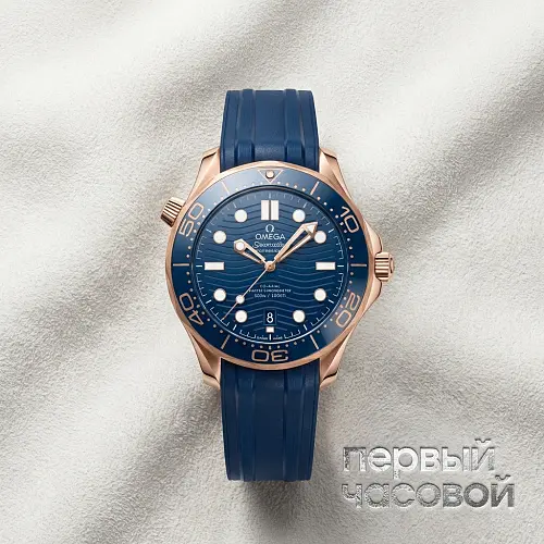 Seamaster Diver Co-Axial Master Chronometer 42 Mm