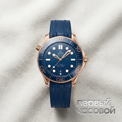 Seamaster Diver Co-Axial Master Chronometer 42 Mm