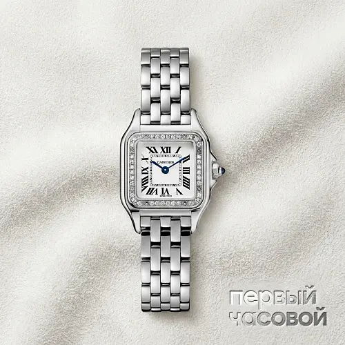Panthere Small Steel And Diamonds