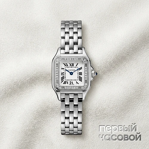 Panthere Small Steel And Diamonds