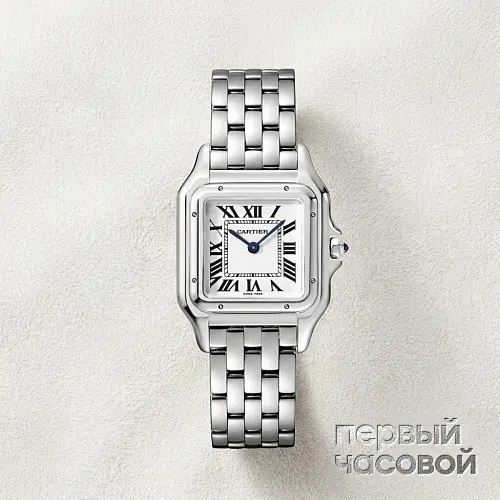 Panthère De Cartier Steel Medium