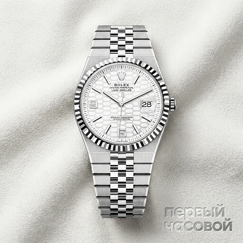 Land Dweller 40 Steel