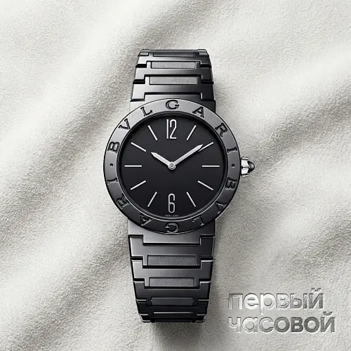 Quartz Black Dial Ladies Watch Stainless