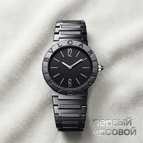 Quartz Black Dial Ladies Watch Stainless
