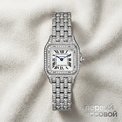 Panthère De Cartier Medium Steel Custom Diamonds