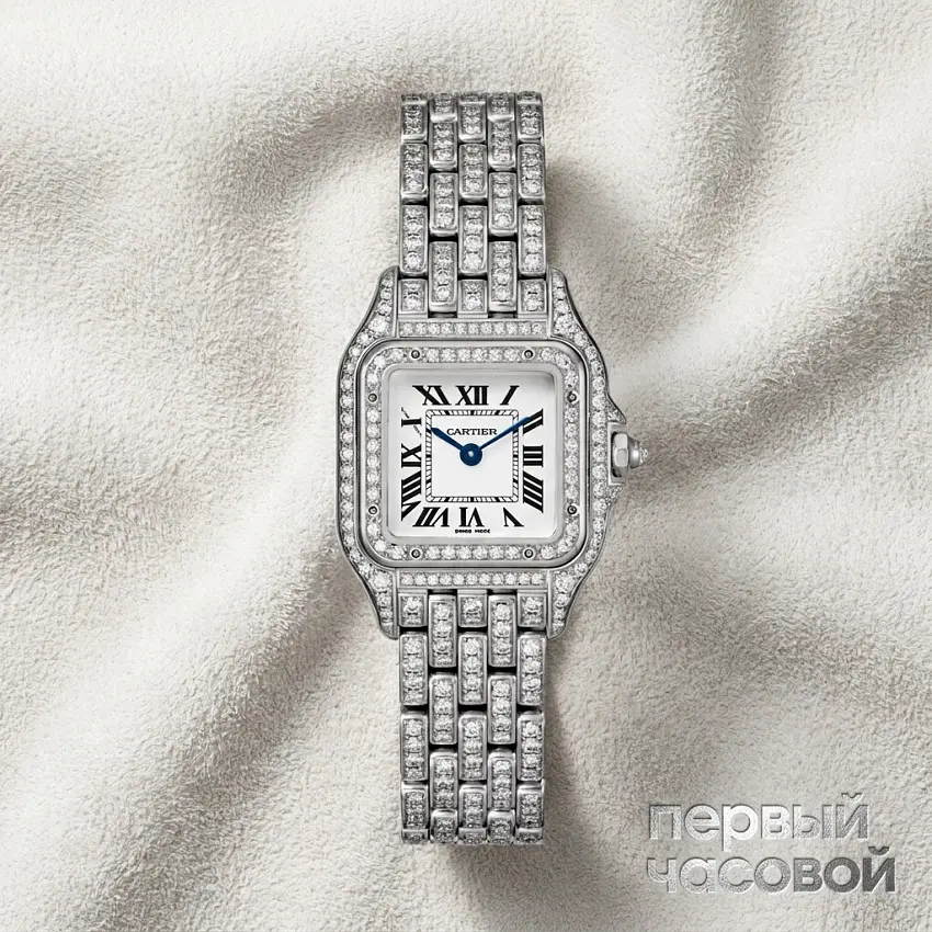 Panthère De Cartier Medium Steel Custom Diamonds