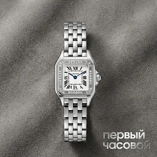 Panthere Small Steel And Diamonds