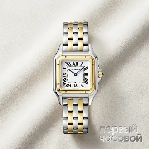 Panthere De Cartier Medium Steel And Yellow Gold